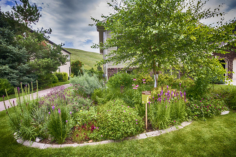 Habitat Hero Awards: Residential Gardens, Part II | Audubon Rockies