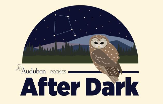 Audubon After Dark: Bird Story Hour