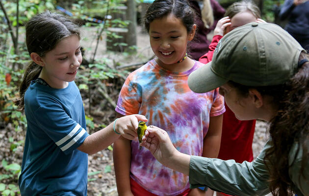To Experience Migration in a New Way, Check Out a Bird Banding Station