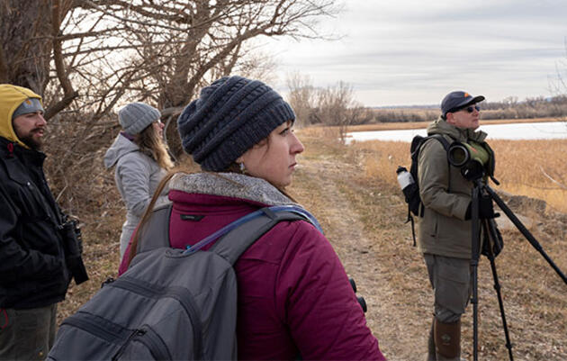 No, You’re Not Too Inexperienced to Join the Christmas Bird Count