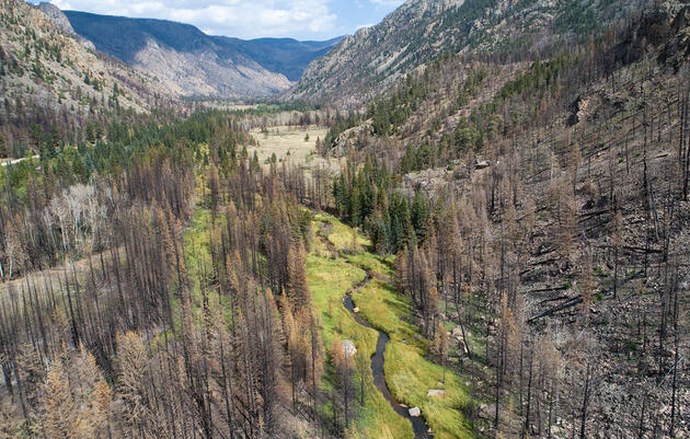 Wildfire Resilience for Communities and Watersheds