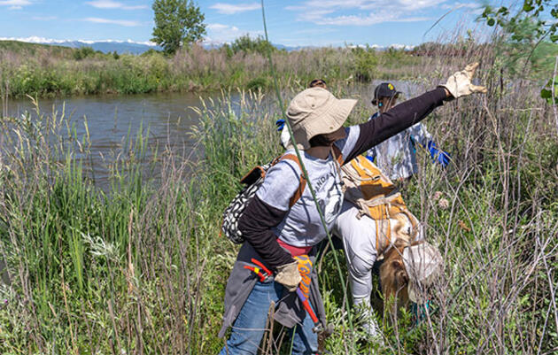 Flowing Together: Colorado’s Streams Need Your Help