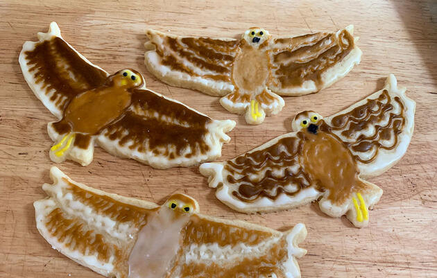 How to Make Bird Cookies