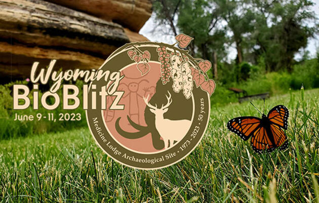Wyoming BioBlitz