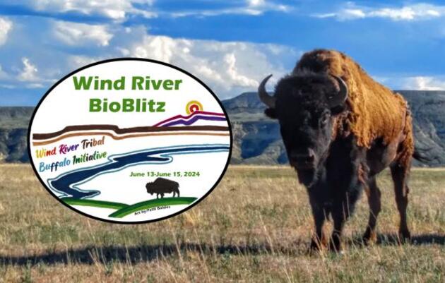 Wind River BioBlitz