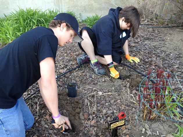 Twin Spruce Teens Team Up for Planting