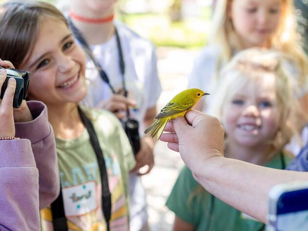 Audubon Rockies and Anderson Ranch Arts Center Kick Off Aspen Summer of Birds