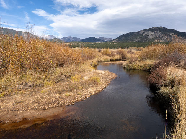 Legislative Water Priorities in 2020 for Colorado’s Rivers, Birds, and People