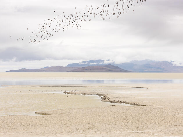 The Great Salt Lake Is Too Big—and Too Important—to Fail 