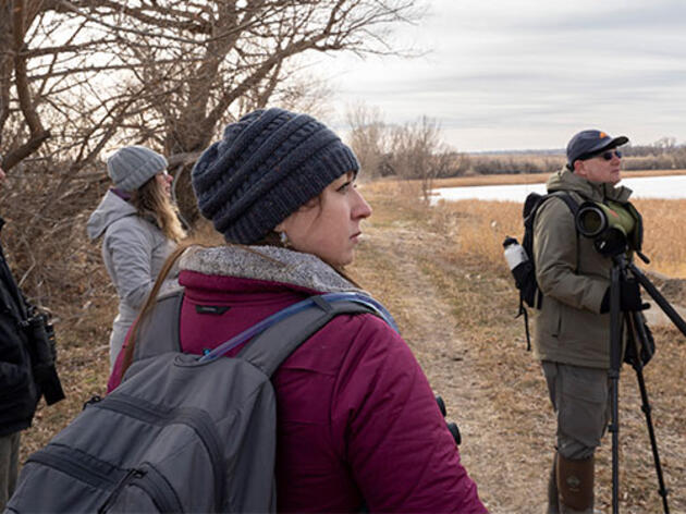 No, You’re Not Too Inexperienced to Join the Christmas Bird Count