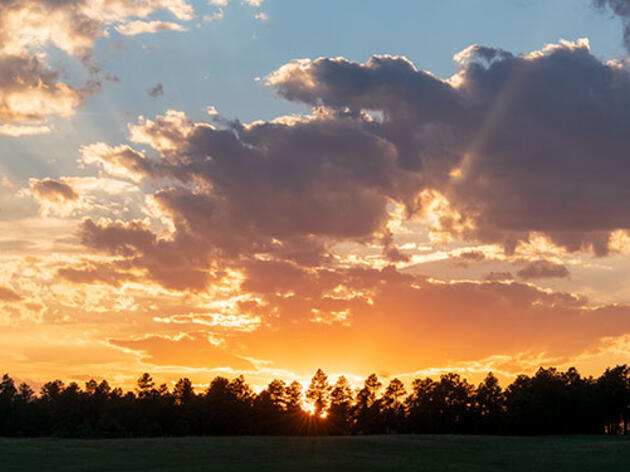 Birding Tours on Cattle Ranches?