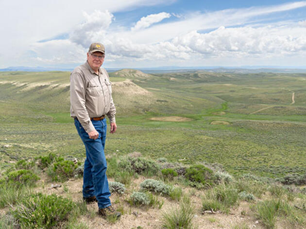 Enhancing Protections for the Greater Sage-Grouse: A Pivotal Moment for Conservation
