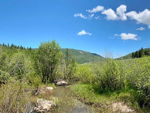 Colorado Stream Restoration Workshop