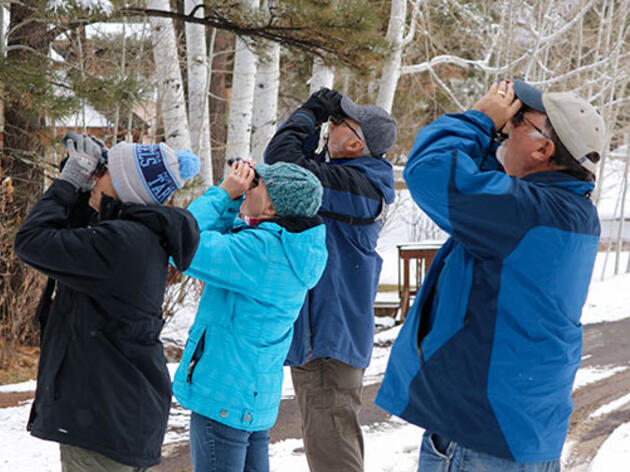 Annual Christmas Bird Count begins around the nation
