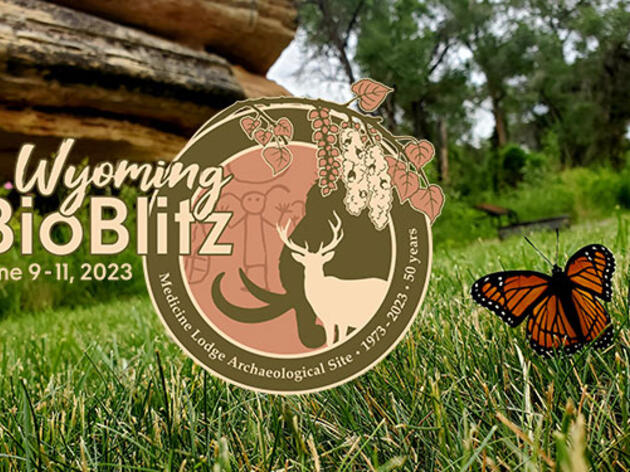 Wyoming BioBlitz