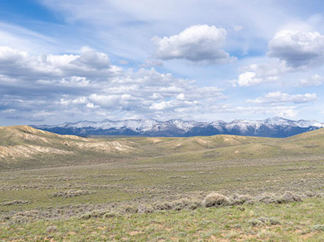 Mountain West Habitat Flashcards