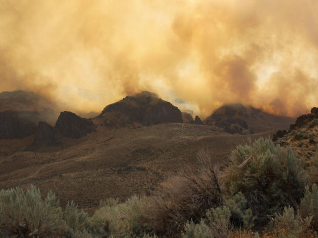 Why is Sagebrush Country on Fire?