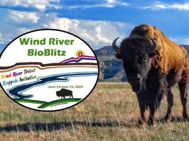 Wind River BioBlitz