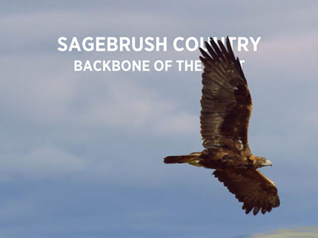 Sagebrush Country: Backbone of the West