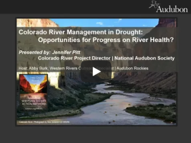 Colorado River Management in Drought