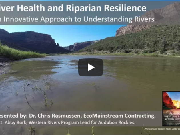 River Health and Riparian Resilience