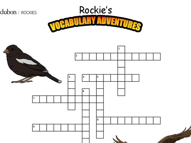 Rockie's Vocabulary Adventures