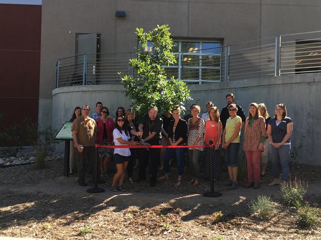 Unveiling the Habitat Hero Demonstration Garden at  Fort Collins Museum of Discovery