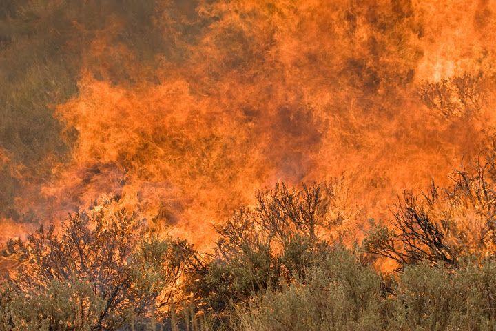 Sagebrush wildfire