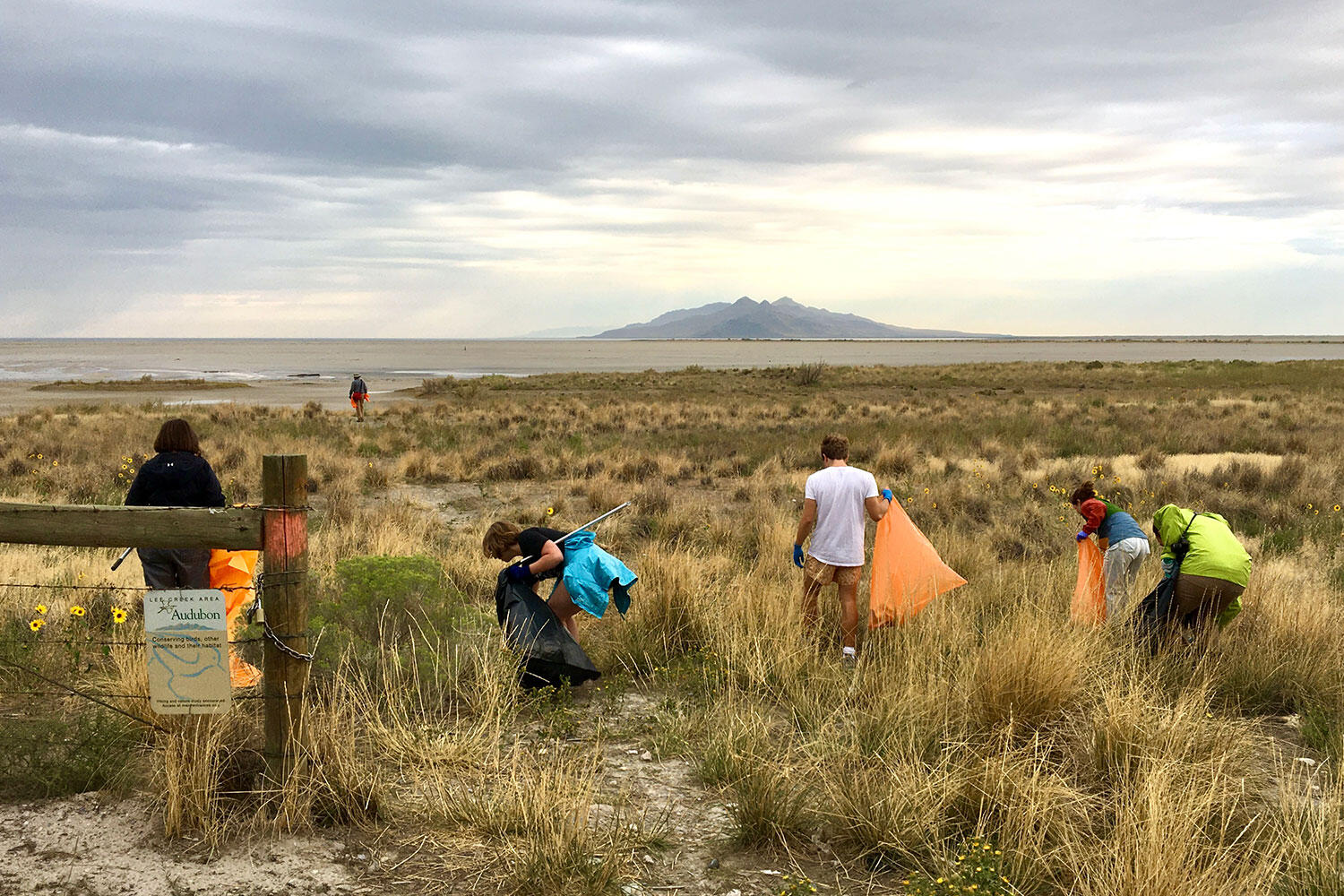 Several adults search through vegetation. They are each holding a garbage bag.