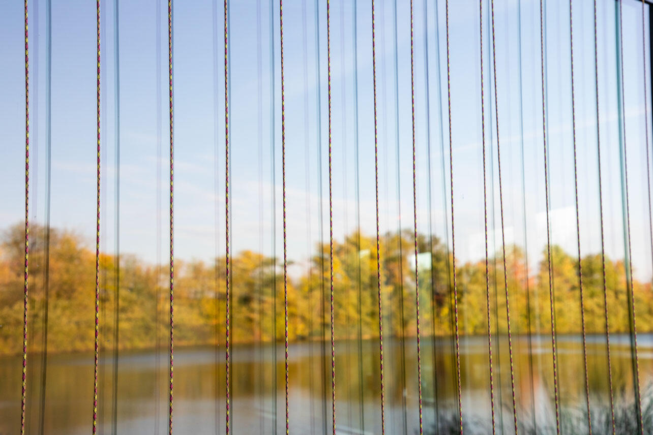 Strings hang before a window reflecting trees.