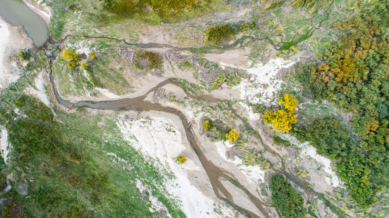 An overhead view of a stream flowing across a beaver dam.