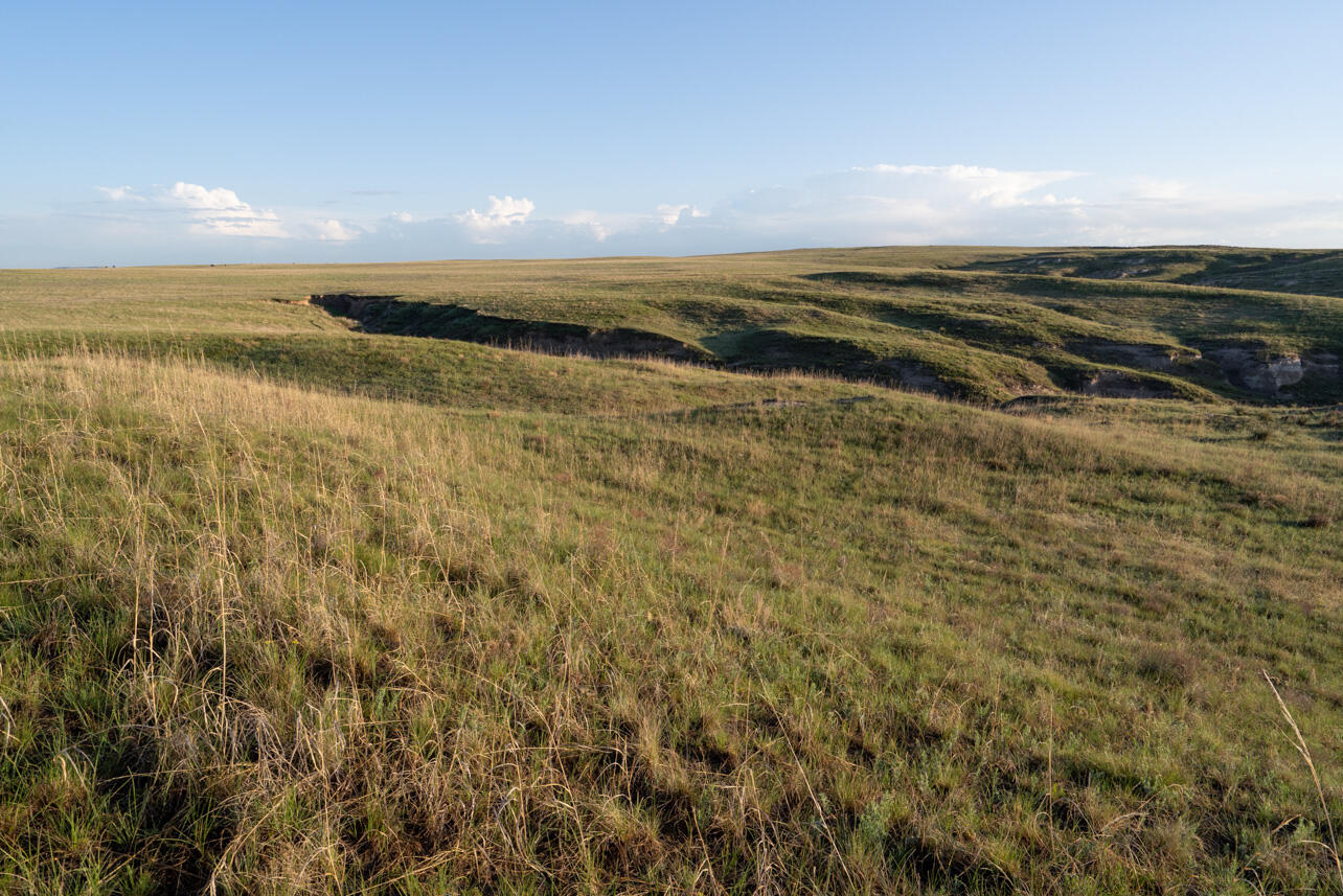 Rolling hills of shortgrass prairie.