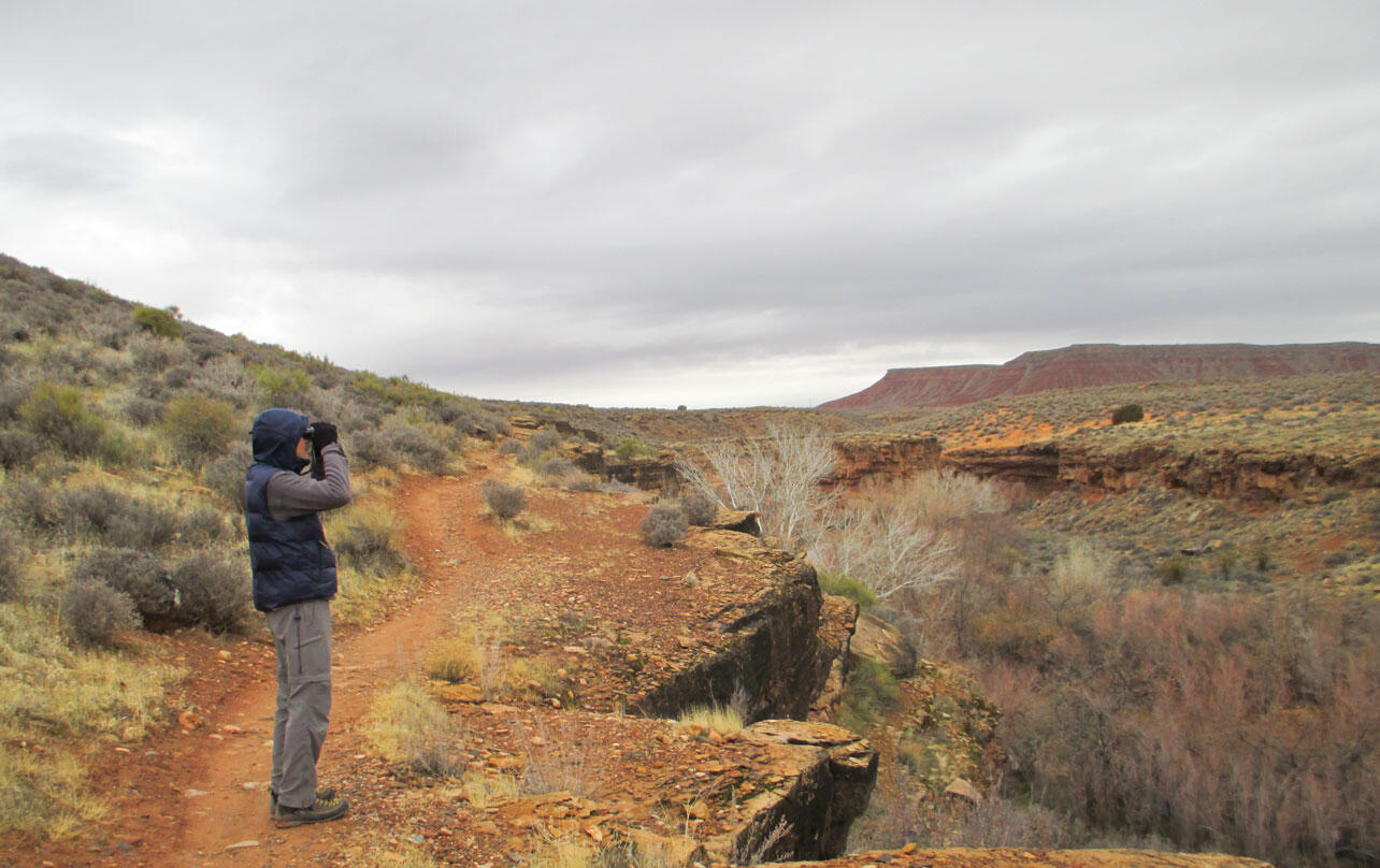 A man stands in a desert looking through binoculars.