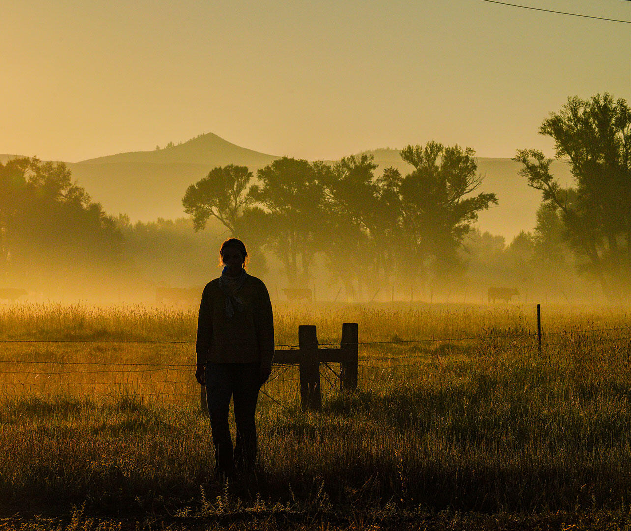 A silhouetted woman stands in a grassy field. 