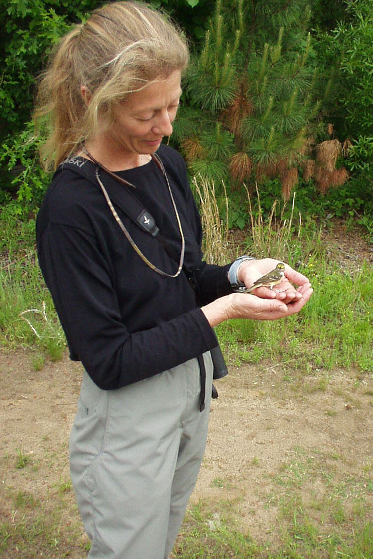 Dee releases a White-eyed Vireo.