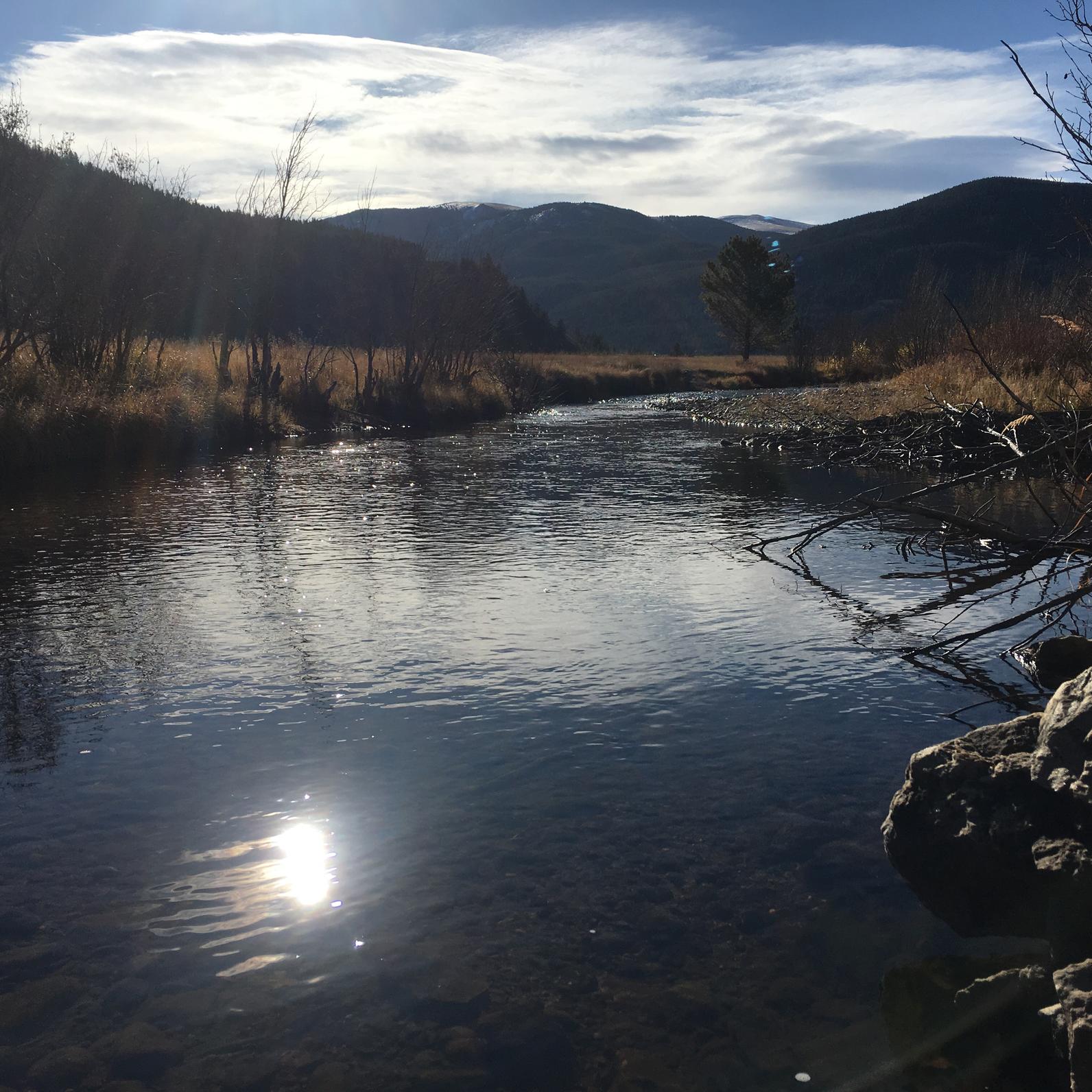 Why is there so much water in the Poudre right now? Eastern plains users  give the river a late boost