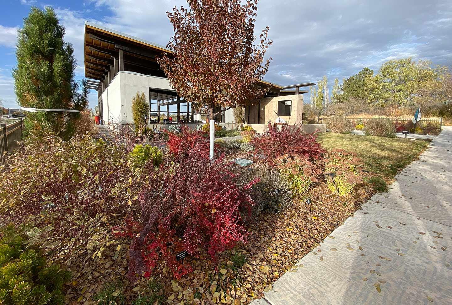 Leaves in shrub beds in front of a modern building.