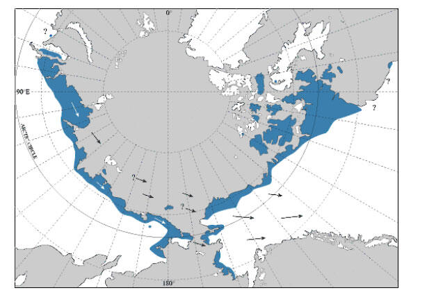 Pectoral Sandpiper Breeding Distribution Map.