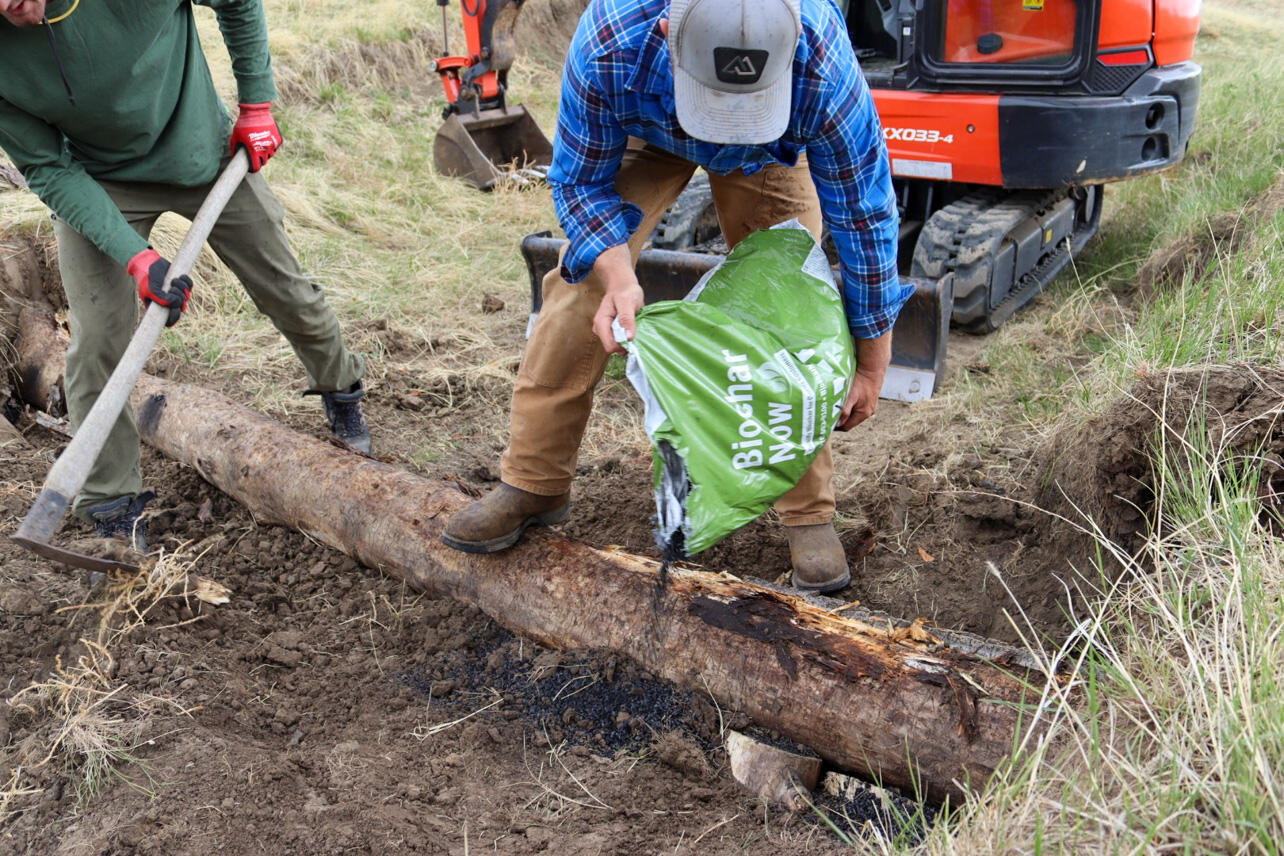 A man pours biochar onto bare soil