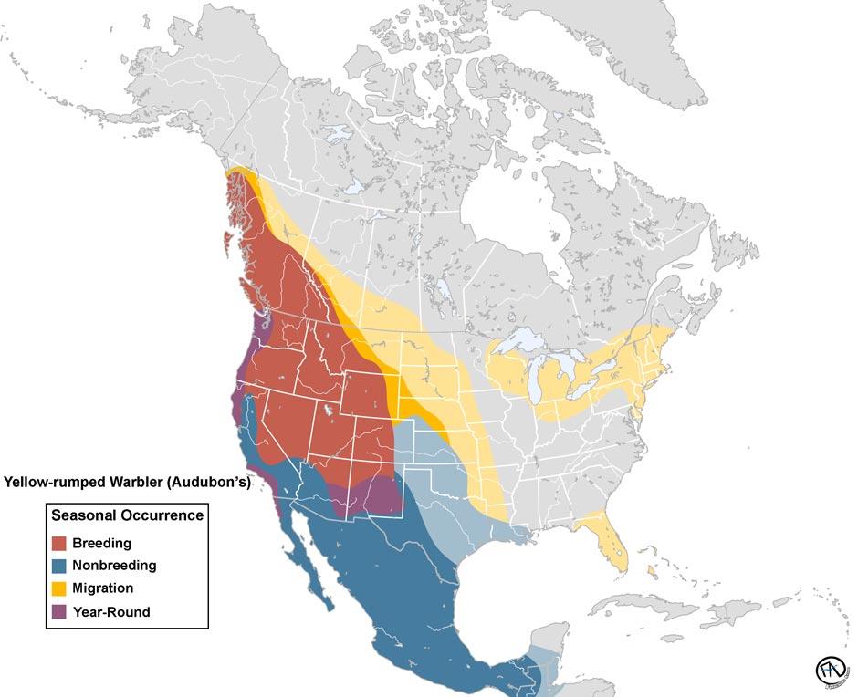 Yellow-rumped Warbler (Audubon) Range Map