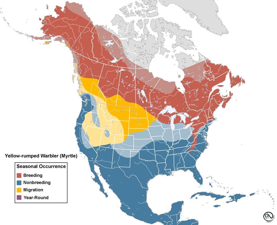 Yellow-rumped Warbler (Myrtle) Range Map
