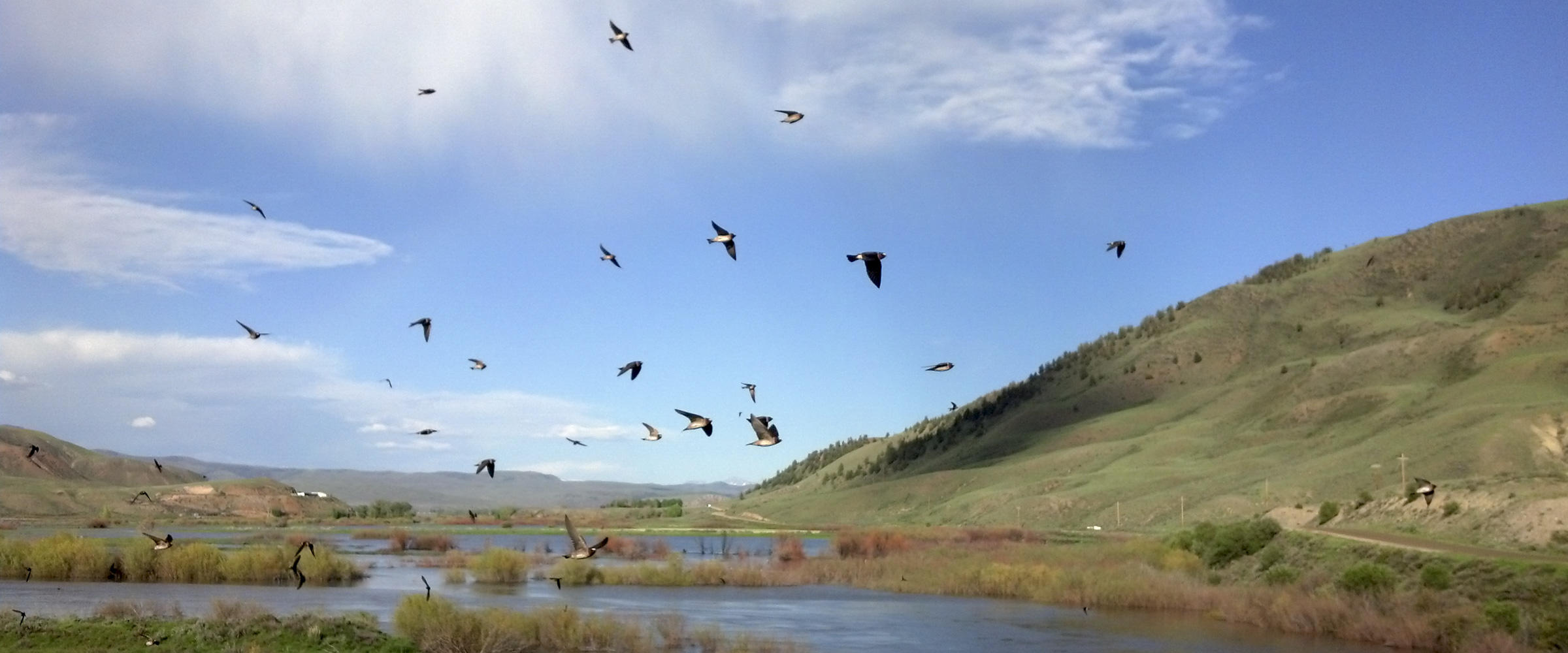 Why is there so much water in the Poudre right now? Eastern plains users  give the river a late boost