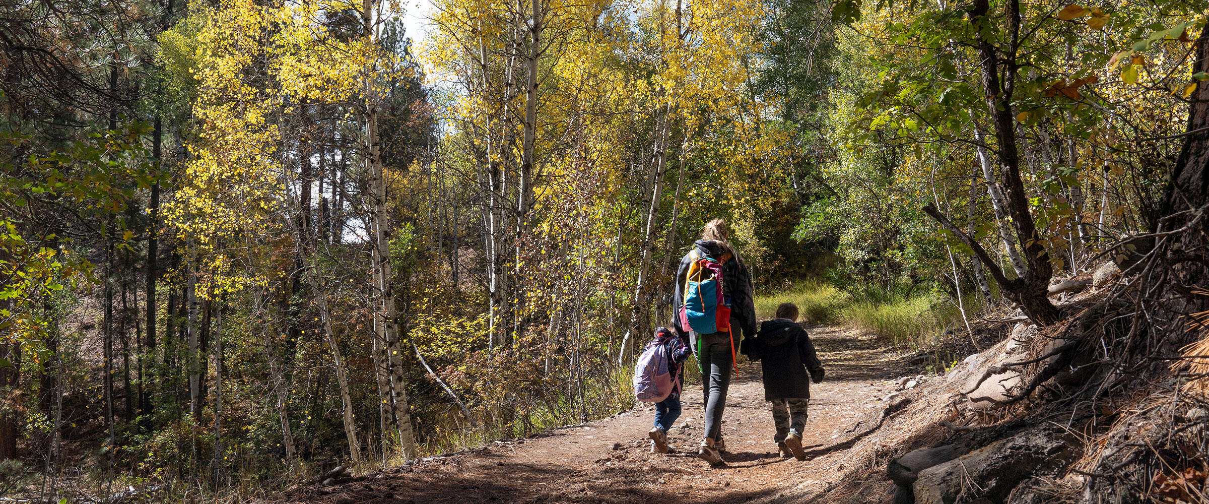 Two children and an adult walk in a forest.