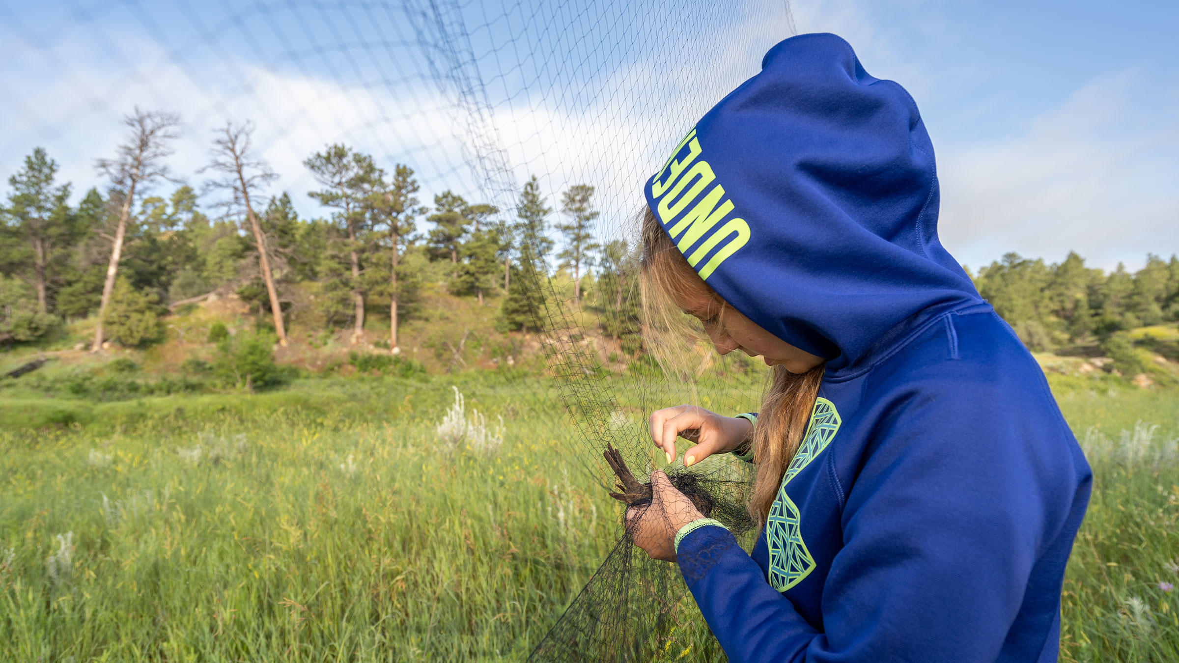Katelyn removes a Brown-headed Cowbird from a mist net.