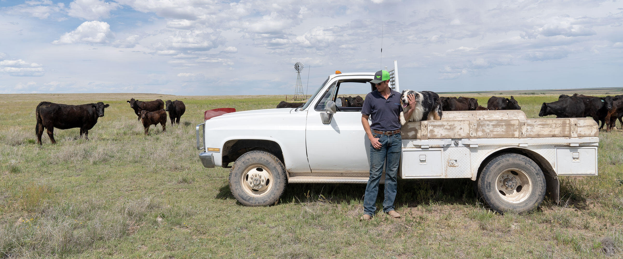 A rancher stands in front of a pickup truck with cows and a windmill in the background.