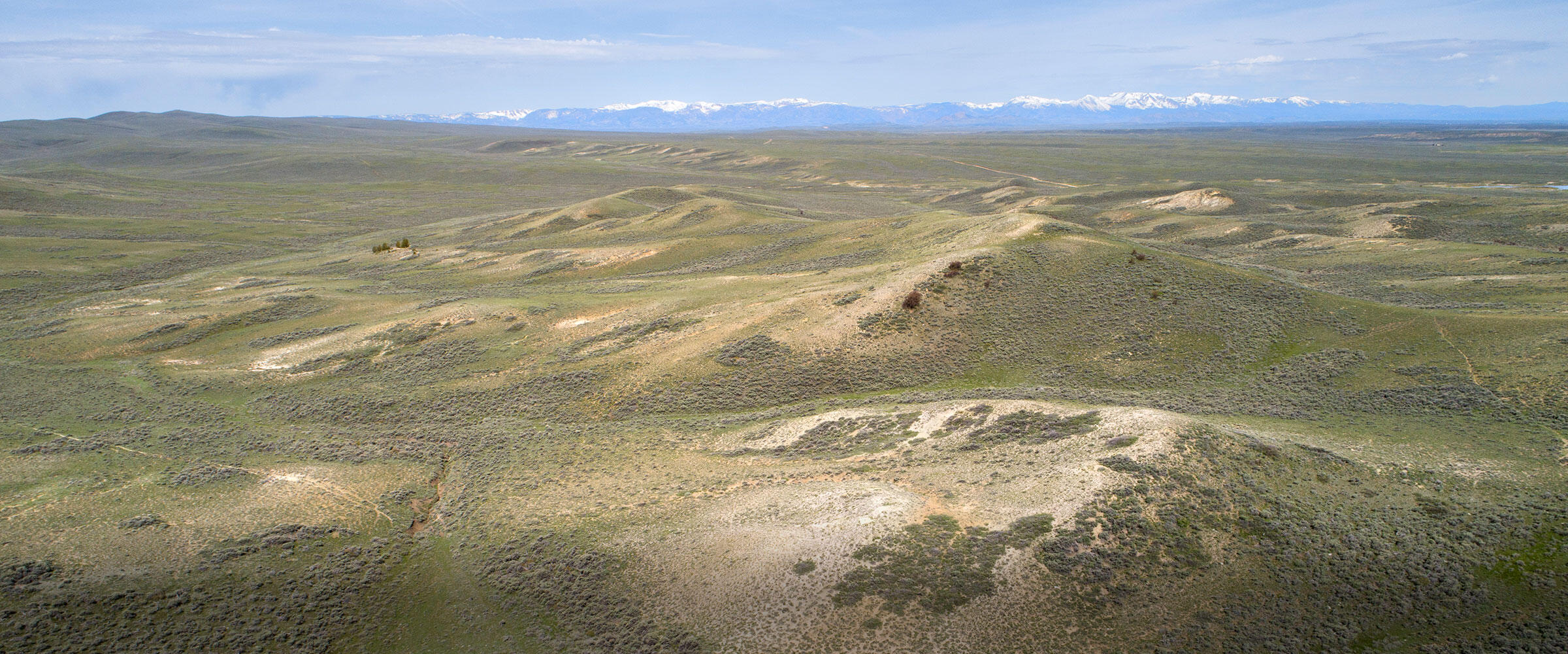 Aerial view of sagebrush steppe.