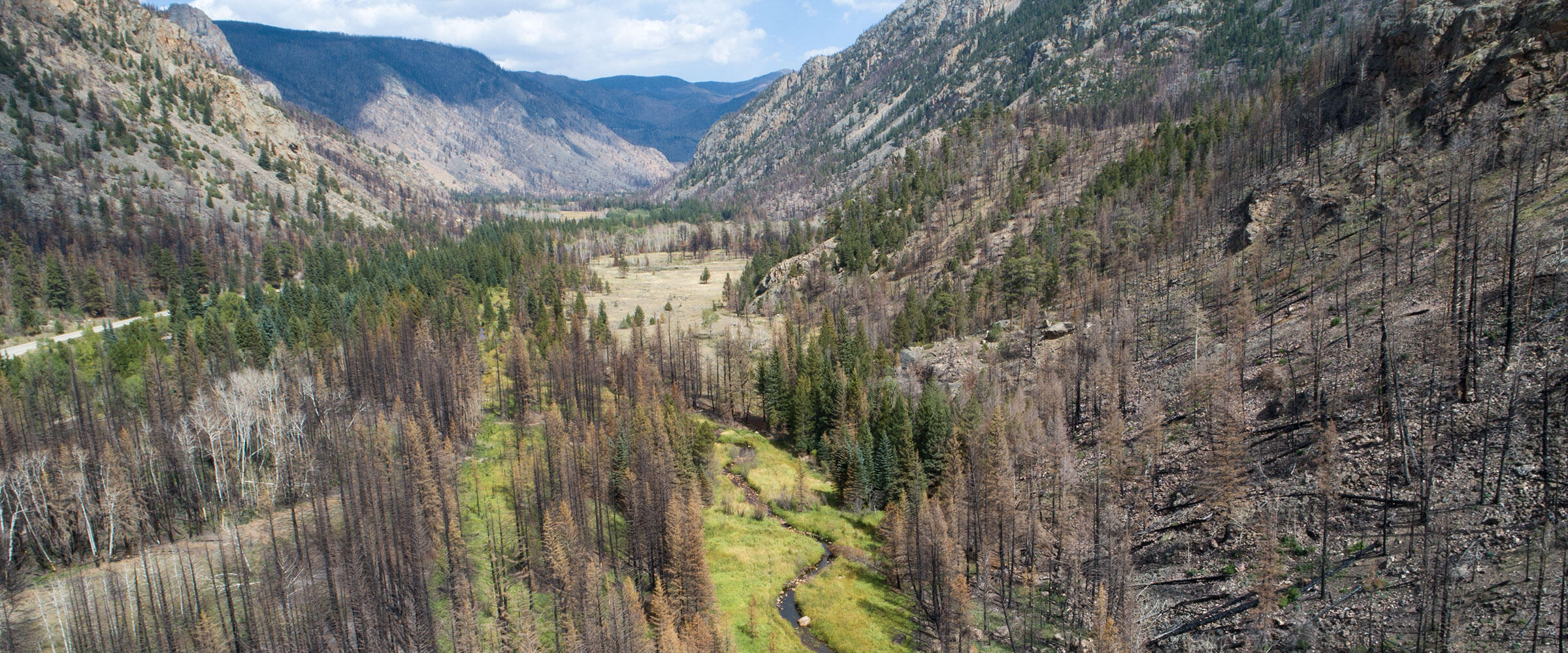 A stream surrounded by green vegetation flows through a canyon blackened by wildfire.