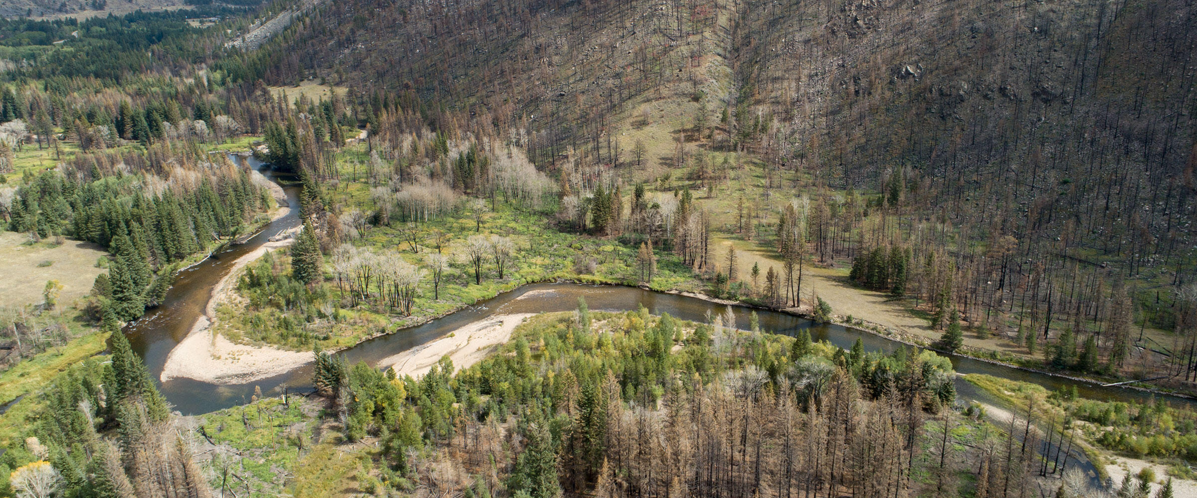 A river flows through green wetlands surrounded by burnt forest and mountain slopes.