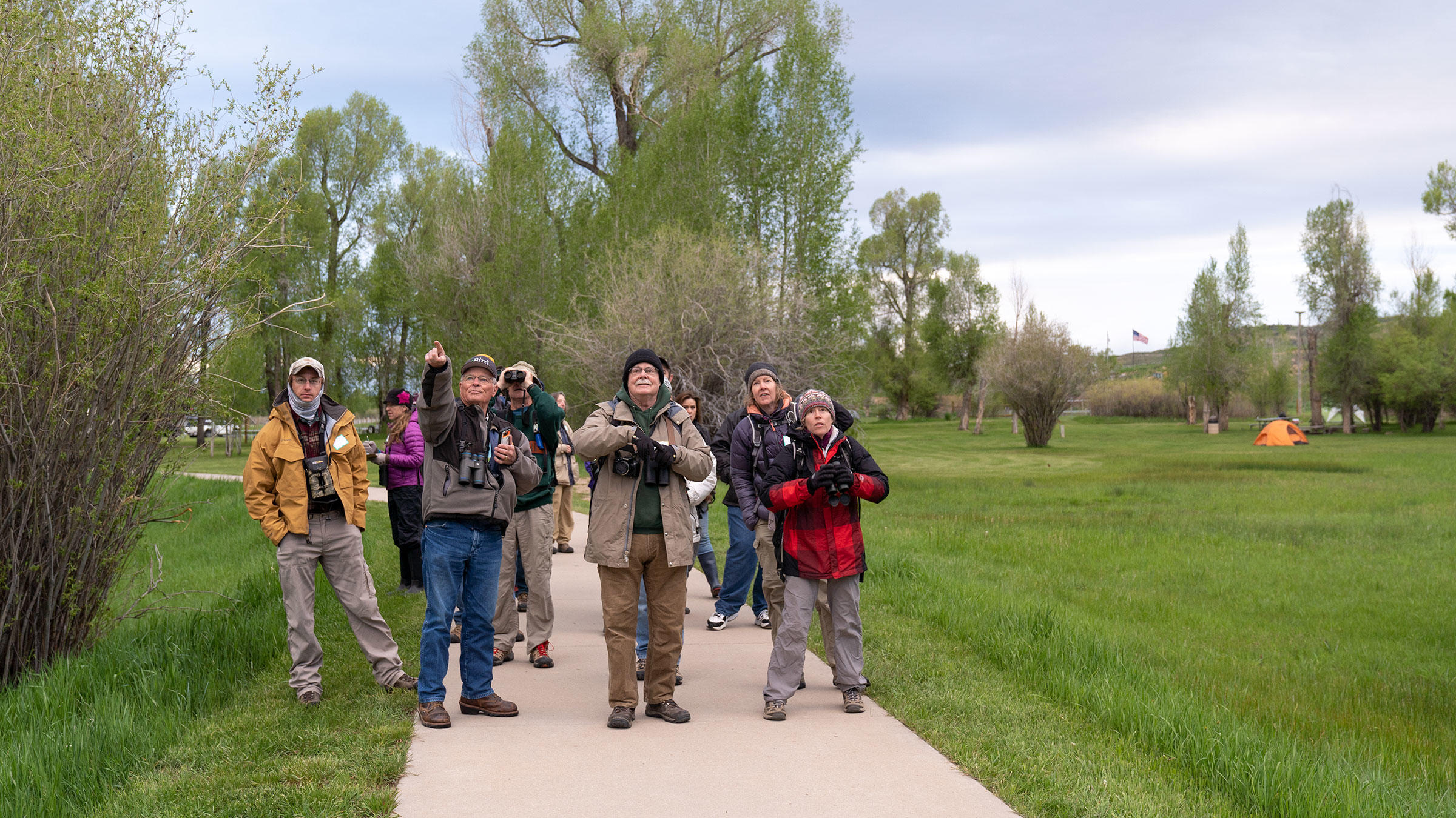 A group of birdwatchers look for birds.