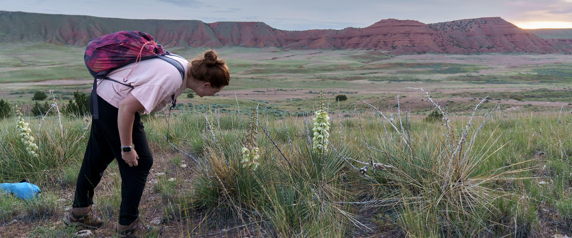 A woman looks at white flowers in a grassland.